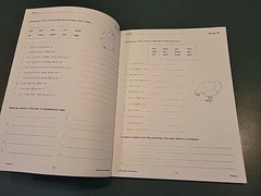 Remedia Publications Phonics For Older Students Book REM800 – Reading – Good !