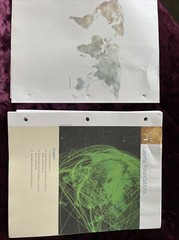 Global Business 4th Edition By Mike W. Peng, Ph.D. (loose Pages)