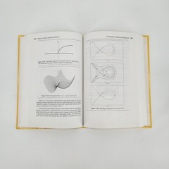 Dynamics and Bifurcations By J. Hale