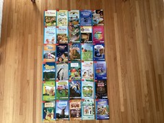 MCGRAW HILL WONDERS LEVELED READERS / GRADE 3 / ON LEVEL / 30 BOOKS