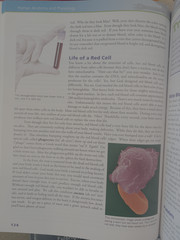 Apologia Exploring Creation Human Anatomy Physiology Textbook & Notebook Bundle