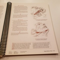 Trail Guide to the Body Locate Muscles Bones Biel Andrew Anatomy 2nd Edition
