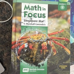 Math in Focus Singapore Math Course 2B Common Core Marshall Cavendish