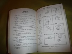 Talk to the Deaf : A Manual of Approximately 1,000 Signs Used by L Riekehof