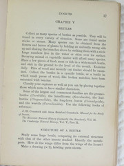 1906 A Guide for Laboratory & Field Work in Zoology by Linville/Kelly HC