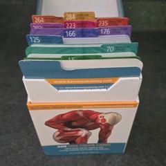 Barron’s Anatomy Flash Cards 3rd Edition 300 Full-Color Medical Study Cards