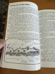 Iridology Simplified: Introduction Science of Iridology Bernard Jensen 1980 Mint