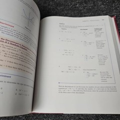 Beginning and Intermediate Algebra by Molly O’Neill and Julie Miller 2006