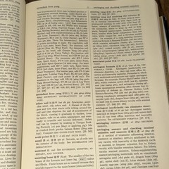 A Practical Dictionary of Chinese Medicine (2nd Ed) by Nigel Wiseman & Feng Ye