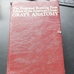 Running Press Gray’s Anatomy Illustrated Hardcover 1974 Henry Gray
