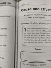 Scott Foresman Reading Street 4.1 and 4.2 Textbooks and Supplementary Materials