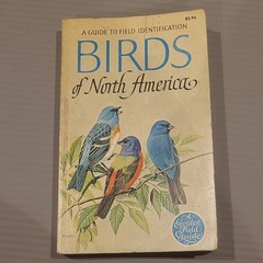 Birds of North America Field Guide Golden Series 1966 Illustrated