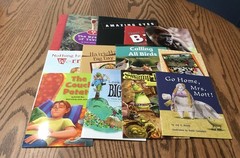 FOUNTAS & PINNELL LEVELED LITERACY INTERVENTION 12 COLOR READERS / RED LEVEL K