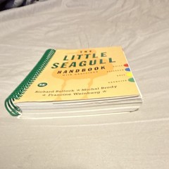 The Little Seagull Handbook with Exercises 5th Ed 2017 ISBN 978-1-324-06013-0
