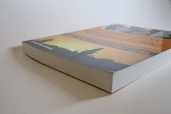 Comparative Religious Ethics: A Narrative Approach to Global Ethics by Darrell