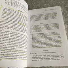 Family Therapy Techniques: Integrating and Tailoring Treatment Routledge 2005 UK