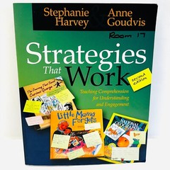 Strategies That Work: Teaching Comprehension Paperback, Stephanie Harvey