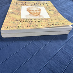 Royal Fireworks – Caesar’s English I Teacher & Student Books by Michael Thompson