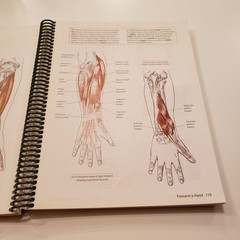 Trail Guide to the Body Locate Muscles Bones Biel Andrew Anatomy 2nd Edition
