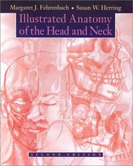 ILLUSTRATED ANATOMY OF THE HEAD AND NECK By Fehrenbach Margaret J. Rdh Ms