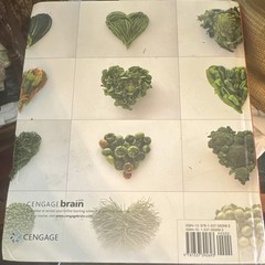 Understanding Nutrition – Fifteenth Edition – Ellie Whitney – Sharon R Rolfes