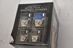 Elsevier Netter Anatomia Flashcards Black Study Guide Human Anatomy Spanish