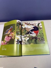 Birds Birds Birds: Boreal Birds of North America/Birds in Bloom/Canaries..LOTOF5