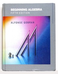 Beginning Algebra