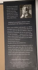 LIBRARY: DRAMA WITHIN By Diane Griliches & Daniel Boorstin 1st Ed 3rd Printing