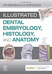 Illustrated Dental Embryology, – Paperback, by Fehrenbach RDH MS – Good x