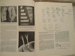 Textiles~Third Edition~Norma Hollen & Jane Saddler~1968~Third Printing 1969