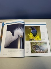 Birds Birds Birds: Boreal Birds of North America/Birds in Bloom/Canaries..LOTOF5