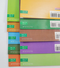 Lot of 10 Fountas & Pinnell LLI Green System Level E Leveled Readers Grade 1