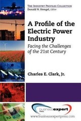A Profile of the Electric Power Industry: Facing the Challenges of the 21st Cent