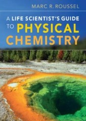 A Life Scientist’s Guide to Physical Chemistry by Roussel, Marc R. R.