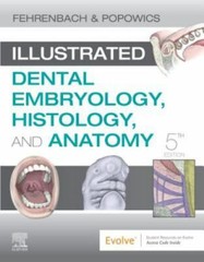 Illustrated Dental Embryology, Histology, and Anatomy by Margaret J. Fehrenbach