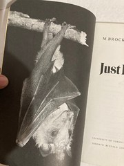 JUST BATS By M. Brock Fenton