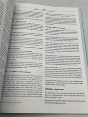 American Government And Politics Today Bardes Shelley Cengage PB Blue 2020