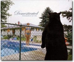 DOMESTICATED: PHOTOGRAPHS BY AMY STEIN **Mint Condition**
