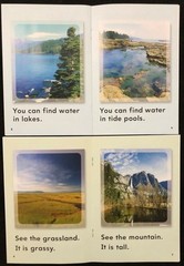 1st Grade – TIME FOR KIDS (SOCIAL STUDIES & SCIENCE) 30 Nonfiction Reader Books