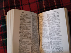 French Dictionary (amsco, 1972, bantam books)