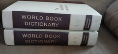 Vintage World Book Dictionary Both Volumes Good Condition Free Shipping