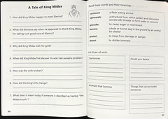 SPIRE (Reading Excellence) LEVEL 6 SET (4 books – TEACHER, STUDENT & WORD CARDS)
