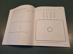 Remedia Publications Phonics For Older Students Book REM800 – Reading – Good !