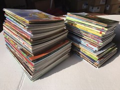 FOUNTAS & PINNELL 3rd Grade Red LLI Leveled Readers Full 150 Book Set Levels L-Q