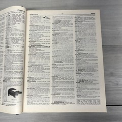 Webster’s: New Explorer, Encyclopedia, Dictionary, 330,000 Words And Definitions