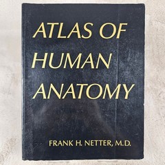 Atlas of Human Anatomy Frank H. Netter Textbook Anatomy 1989 Paperback