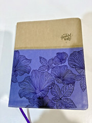 NIV, Beautiful Word Coloring Bible Imitation Leather by Zondervan