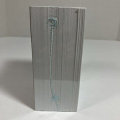 Level Up RN Pediatric Nursing Flash cards 2019
