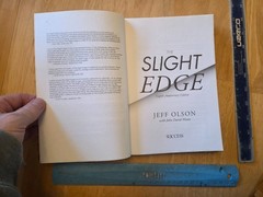 Slight Edge : Turning Simple Disciplines into Massive Success by Jeff Olson